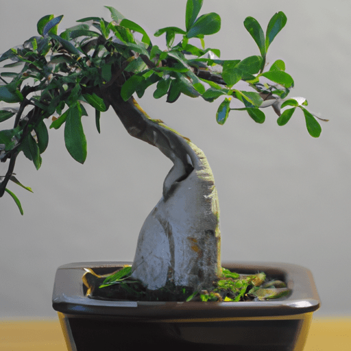 Bonsai Spins Slot Joy