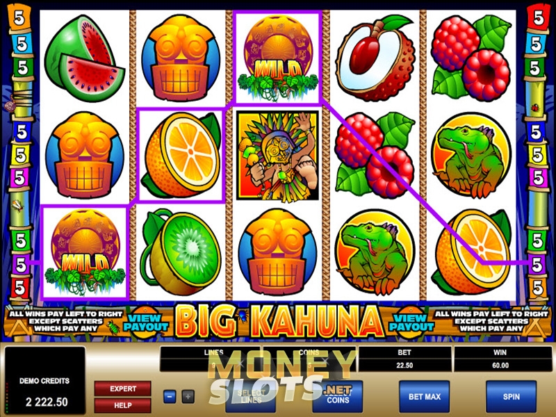 Big Kahuna Slots Gaming