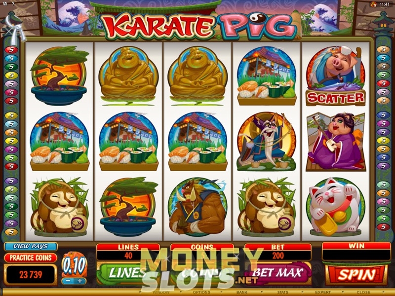 Karate Pig Slot Gambling