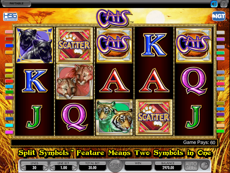 Cats Slots Gaming