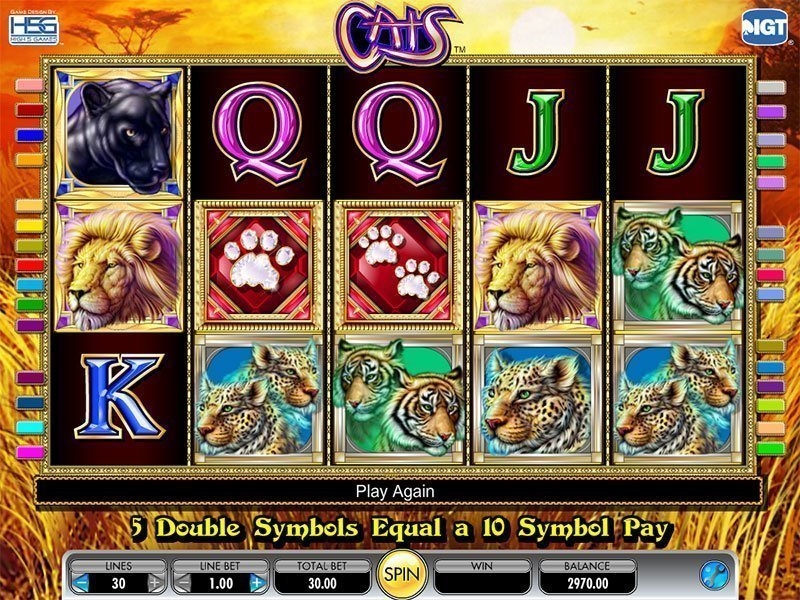 Cats Slots Gaming