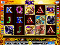 Cats Slots Gaming